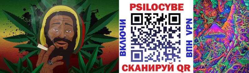 площадка состав  продажа наркотиков  Звенигород  Галлюциногенные грибы GOLDEN TEACHER 