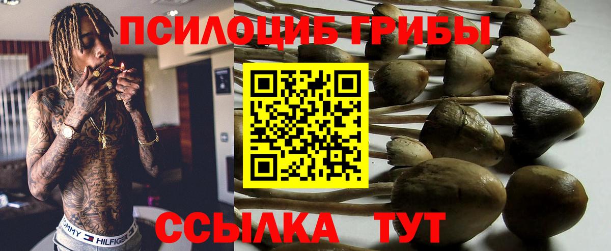 Галлюциногенные грибы прущие грибы  Вход с VPN  Галлюциногенные грибы Psilocybe  Звенигород 