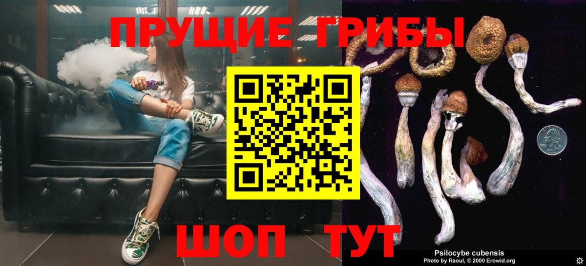 Галлюциногенные грибы Cubensis Звенигород